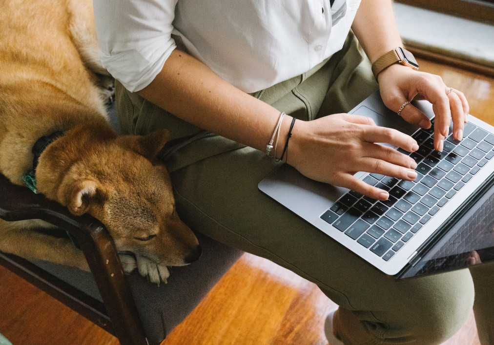 How to Make a GIF from a Video Clip — Clideo