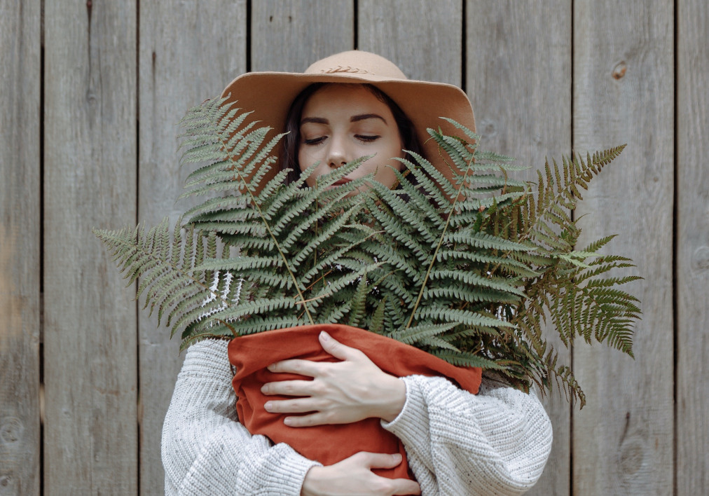 How to Take a Clip from a Video — Clideo