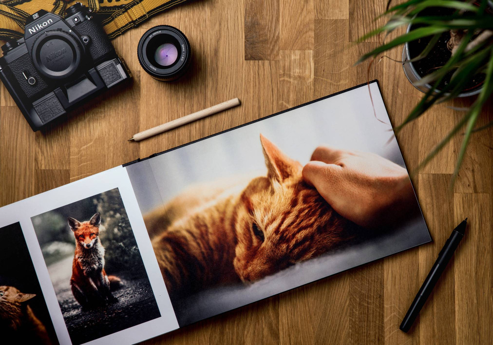 How to Make Facebook Slideshow — Clideo