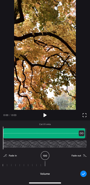 Edit audio in app to add music to video