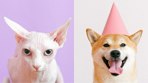 How to make side-by-side video