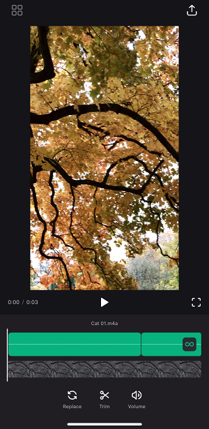 Loop audio in video in iPhone app to add music