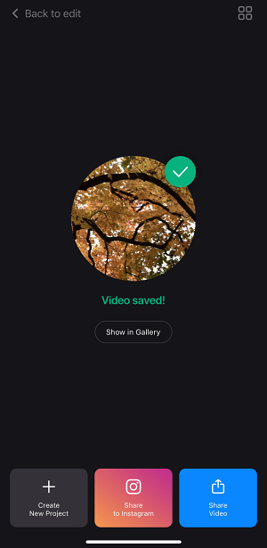 Save video with music from app