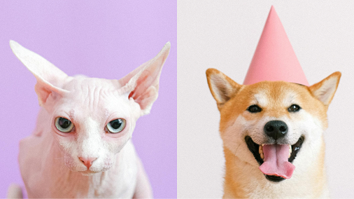 How to use side-by-side video editor