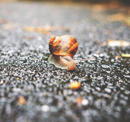 How to Slow Down Your Video Speed