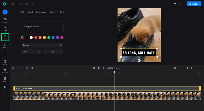 Add text to MOV to GIF project