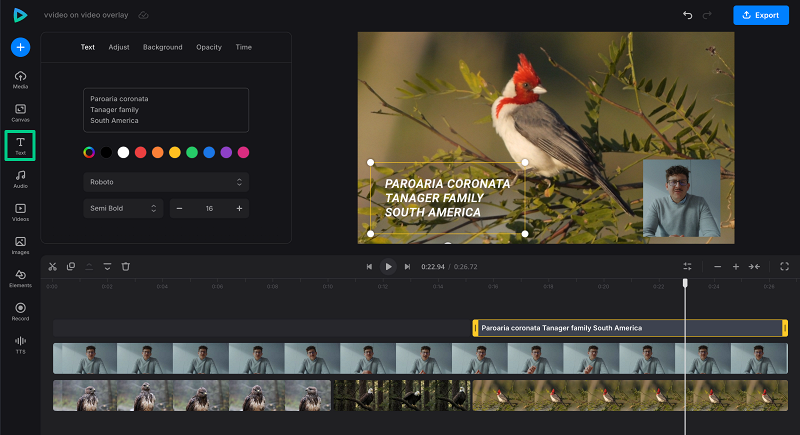 Add text to overlaid video