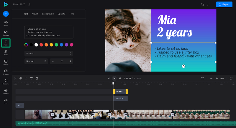 Add text to project with video transitions