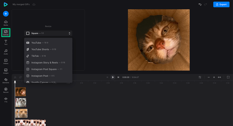 Select canvas size Change aspect ratio for combined GIFs