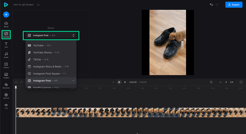 Change canvas for MOV to GIF project