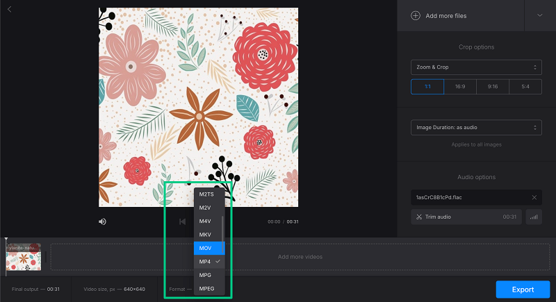 Change format of picture with song