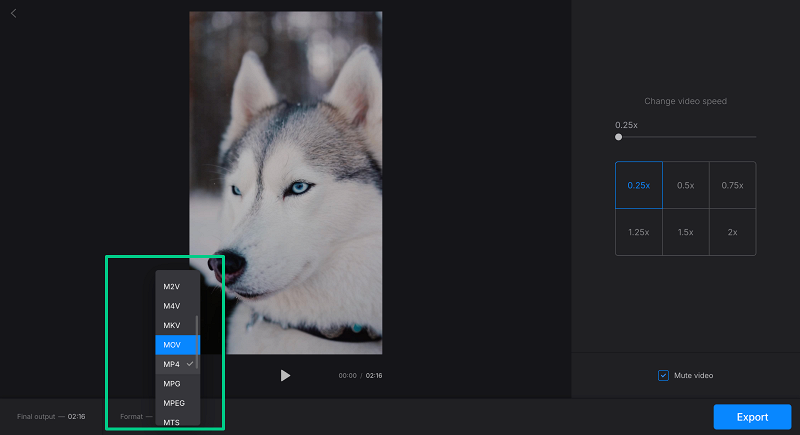 Change format of slow motion video
