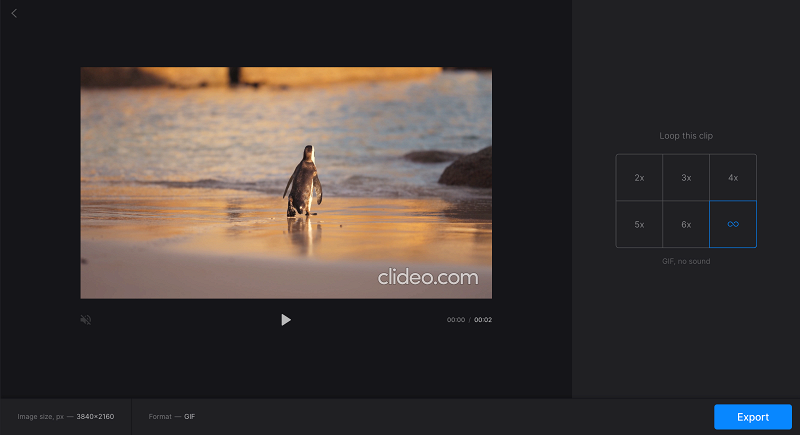 Create GIF from video in looper