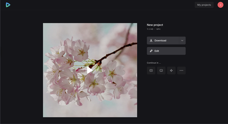 Download cropped video