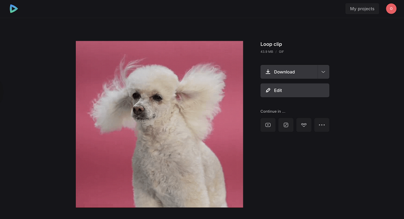 Save looped video or GIF Download file from video looper