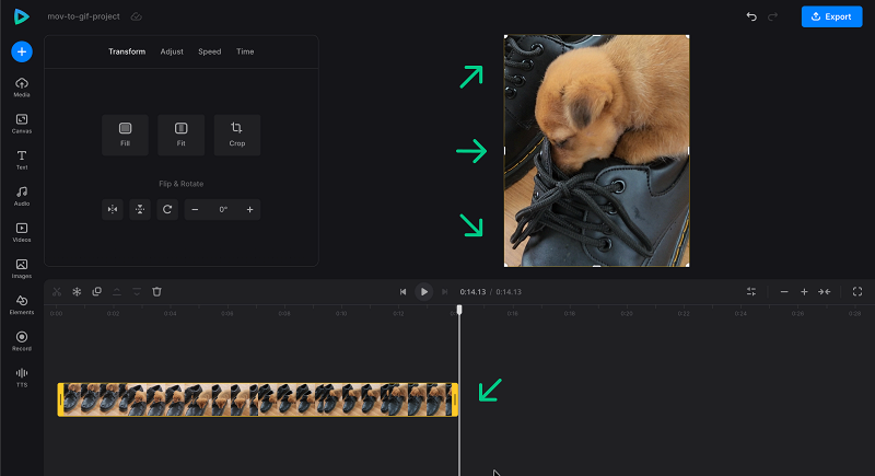 Edit MOV to GIF project