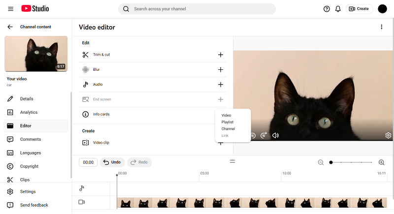 Edit YouTube video - info