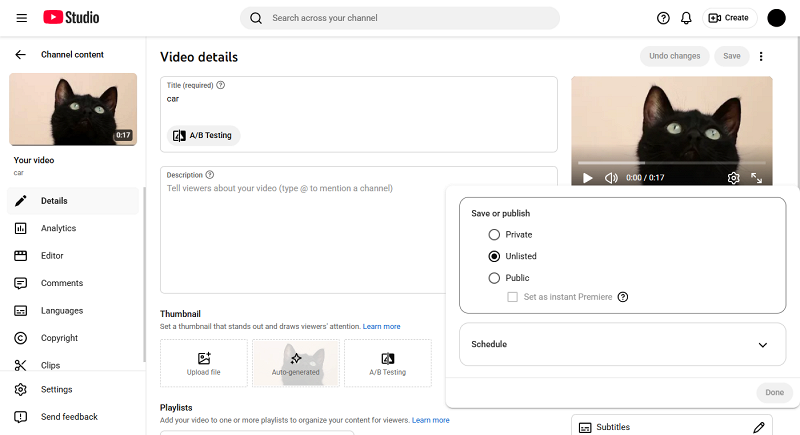Edit YouTube video  - publish