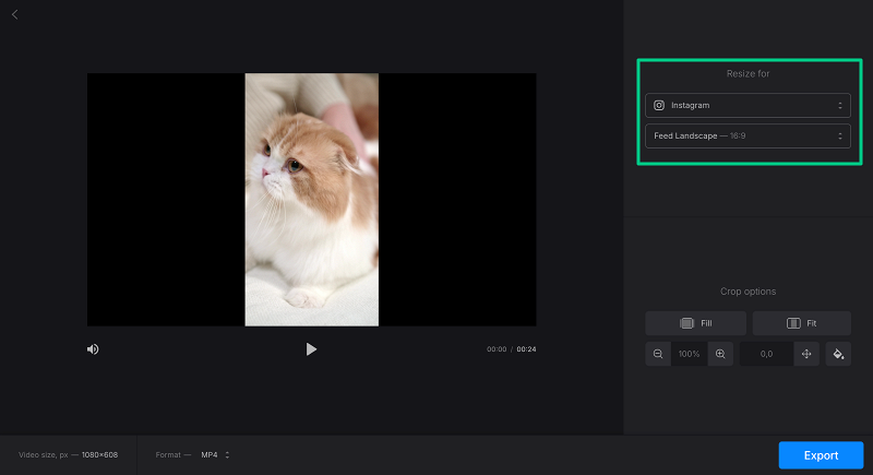 View portrait video to be converted to landscape