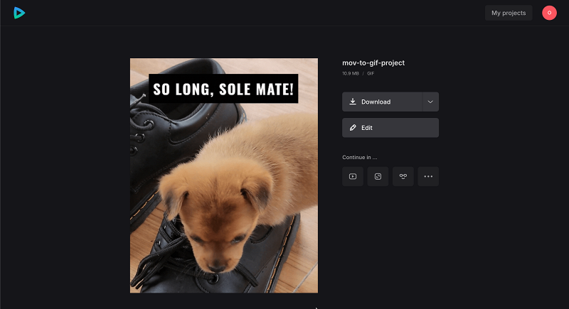 Save MOV to GIF project as GIF