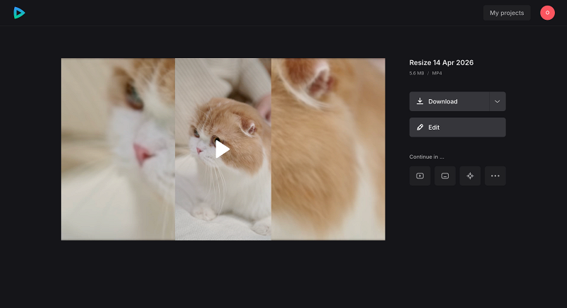 Save portrait video converter to landscape