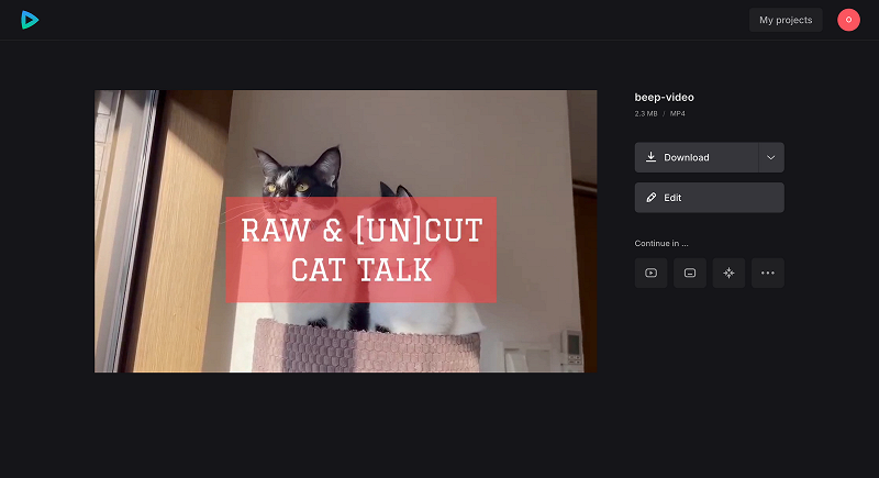 Save video with bleep sound effect