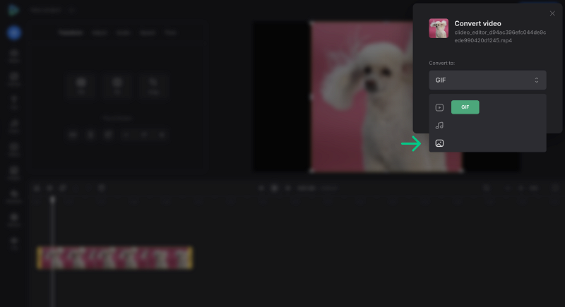 Turn a video into a GIF image file Convert video to GIF image