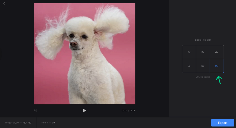 Choose number of loops Select loop seetings in video looper