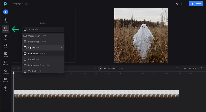 Change size to make video invitation GIF Set canvas to make Halloween gif party invitations
