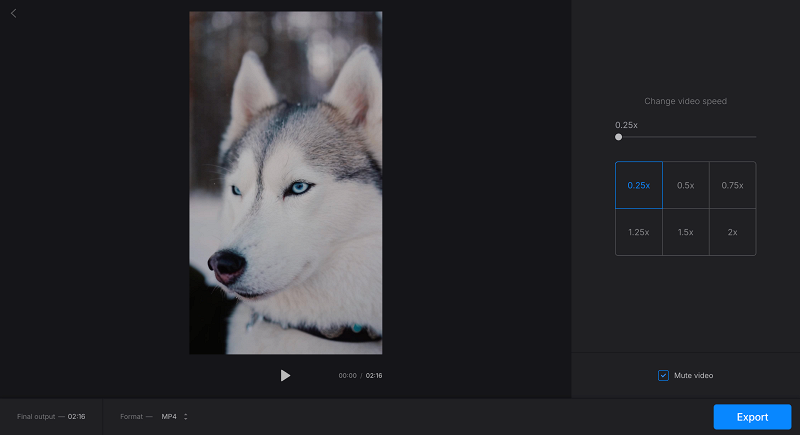  Select the needed video speed for slow motion effect