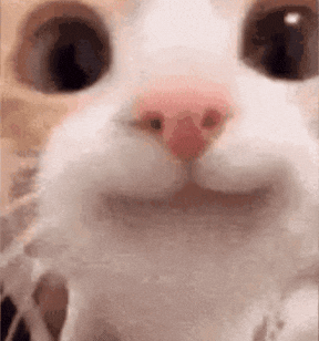 gif example