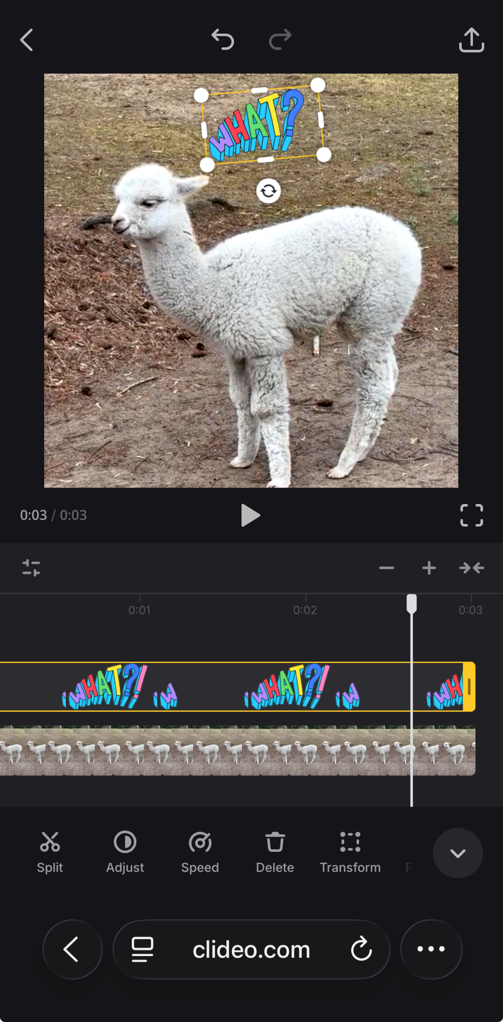 Customize file to turn video into GIF