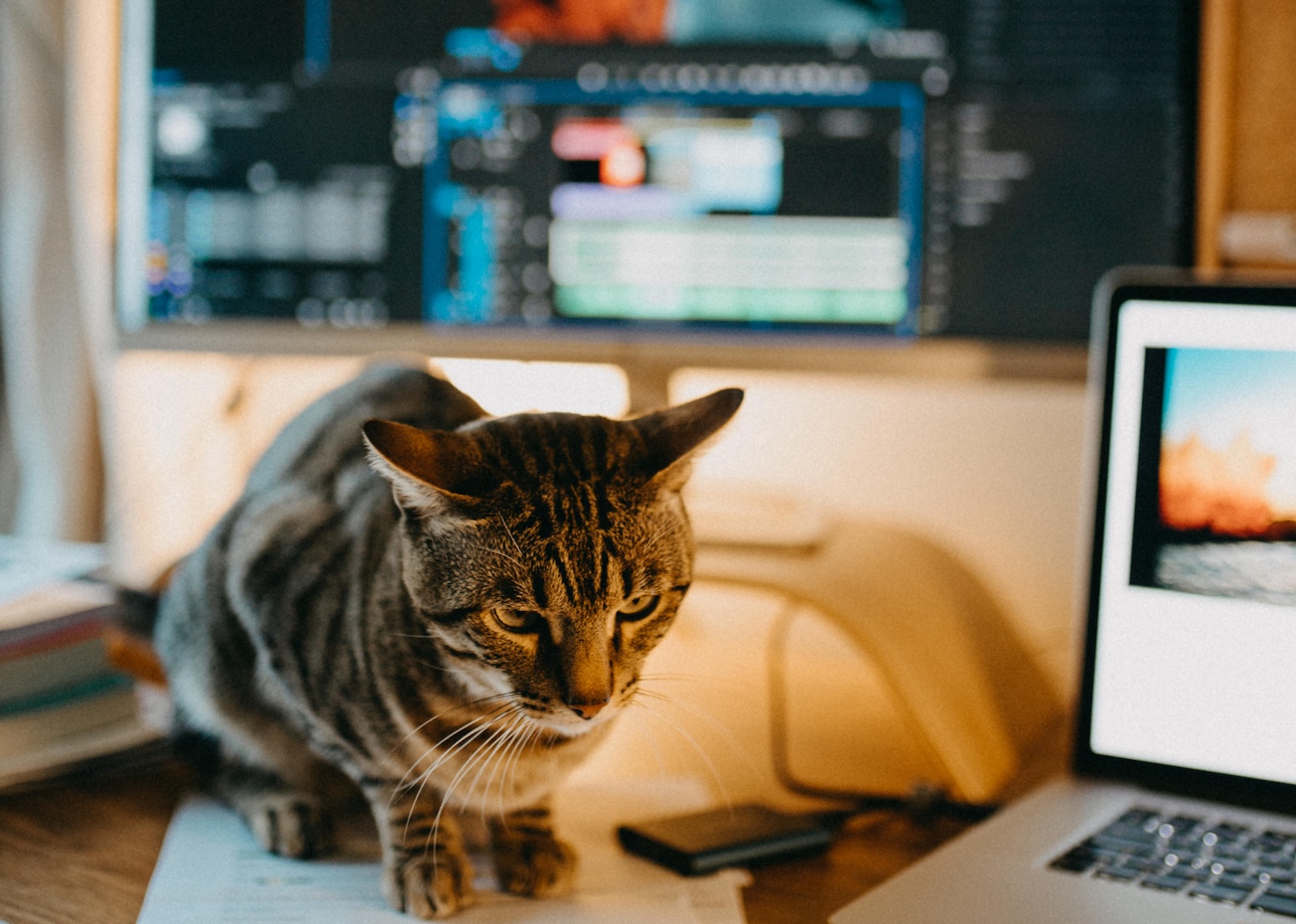 Why Choose Online Video Editor: Benefits and Considerations — Clideo