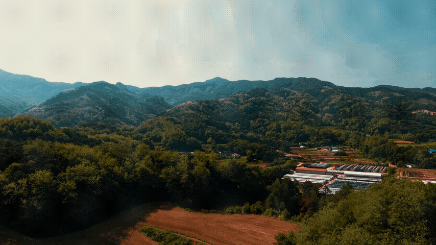 Fade effect example