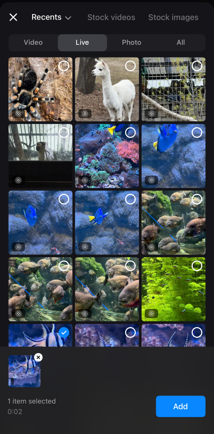 Upload live photo to make video